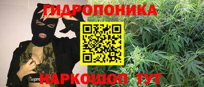 амф Новокубанск
