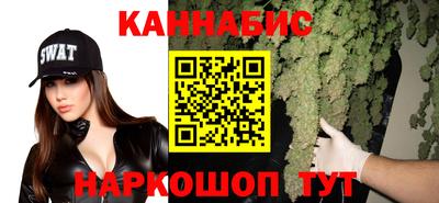 амф Новокубанск