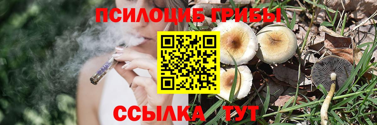 Псилоцибиновые грибы мухоморы  Вход с VPN  Стрежевой 
